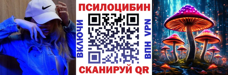 Купить где Шлиссельбург Псилоцибиновые грибы Magic Shrooms