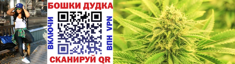 Купить закладки  Шлиссельбург  Шишки марихуана ГИДРОПОН 